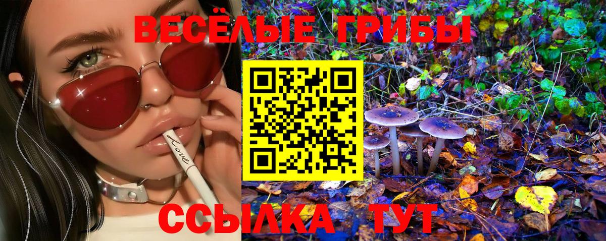Галлюциногенные грибы мицелий Омск